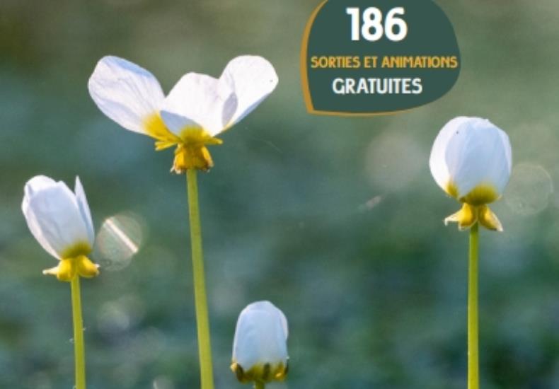 Sorties Nature 2025