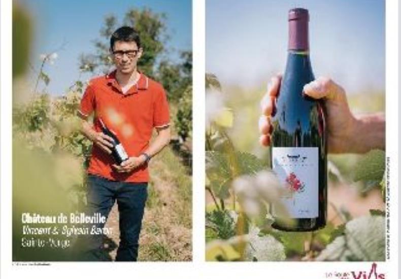 Chateau Belleville domaine viticole vin Ste Verge Thouars Thouarsais Deux Sevres