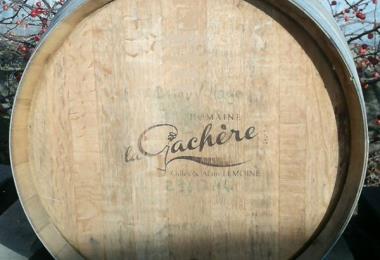 Domaine Gachere viticulteur vins degustation Cersay Val en Vignes Thouarsais