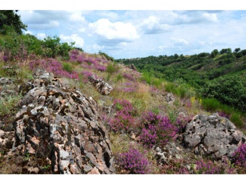 Veloroute-bocage-bressuirais7