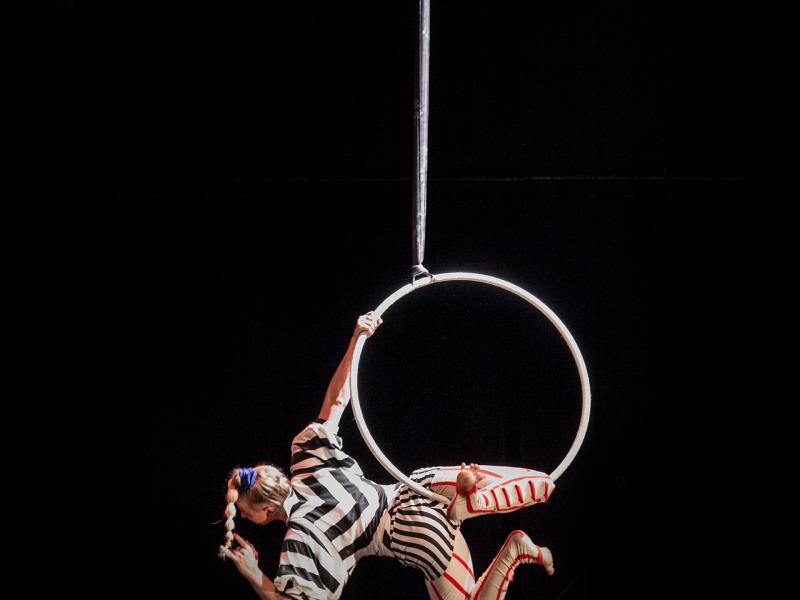 Stage de perfectionnement aérien cirque en scène à Niort