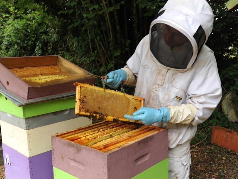 apiculture - Pouffonds (pw) 0599