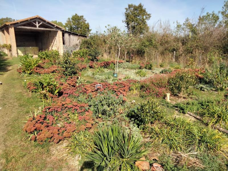argentonnay- jardin-de-la-tournerie-jardin-des-lilas