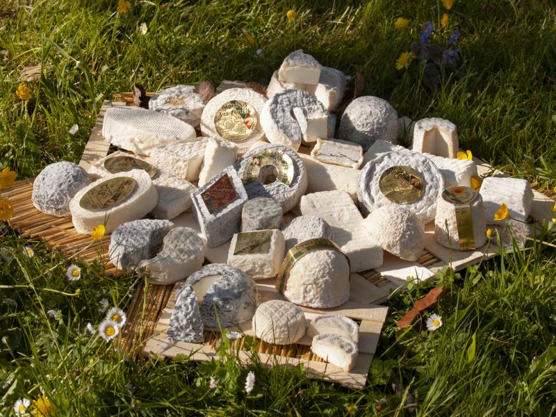 Fromagerie des Gors 