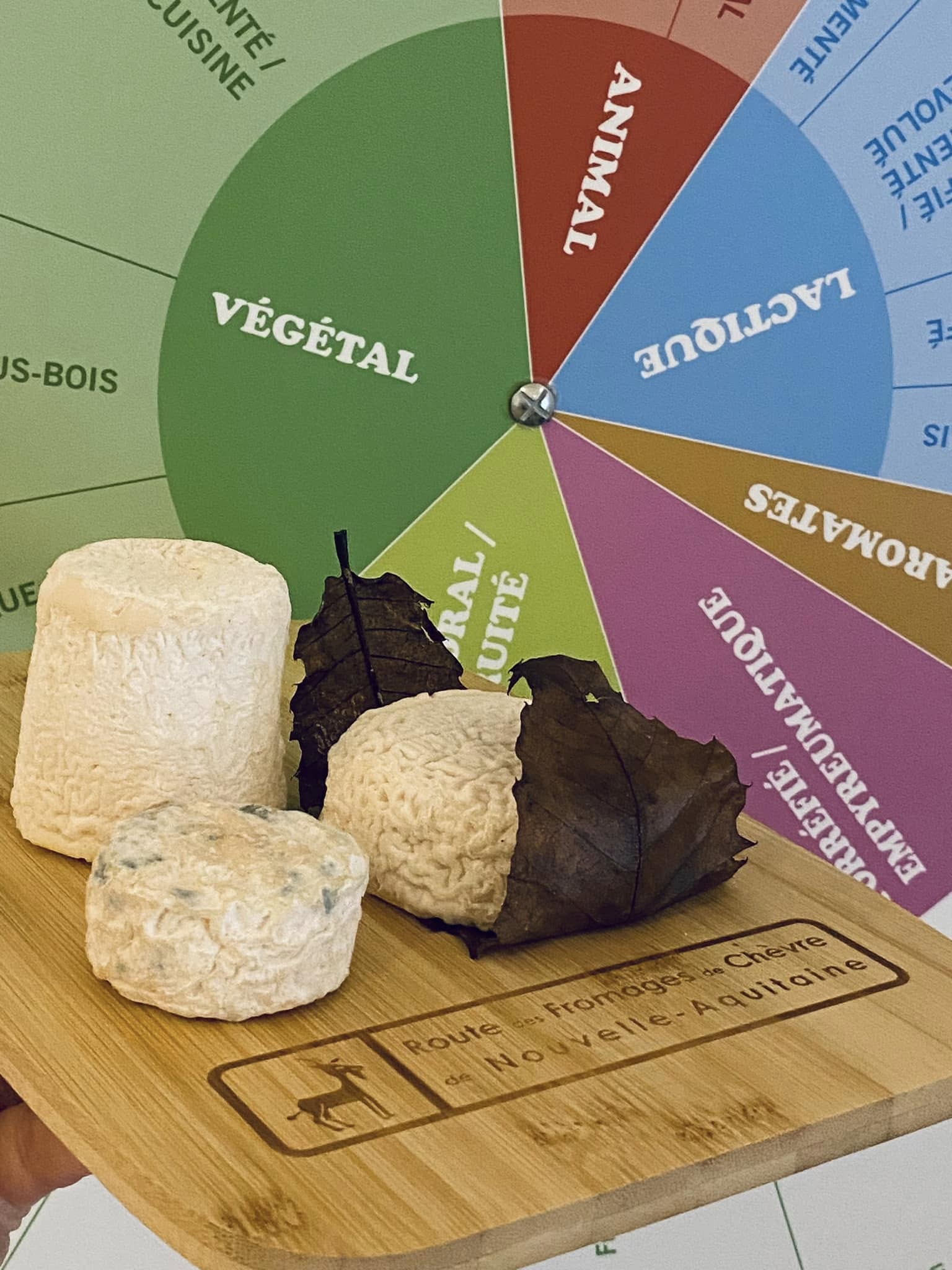  Ateliers découverte - Maison des Fromages de Chèvre