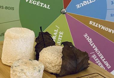  Ateliers découverte - Maison des Fromages de Chèvre
