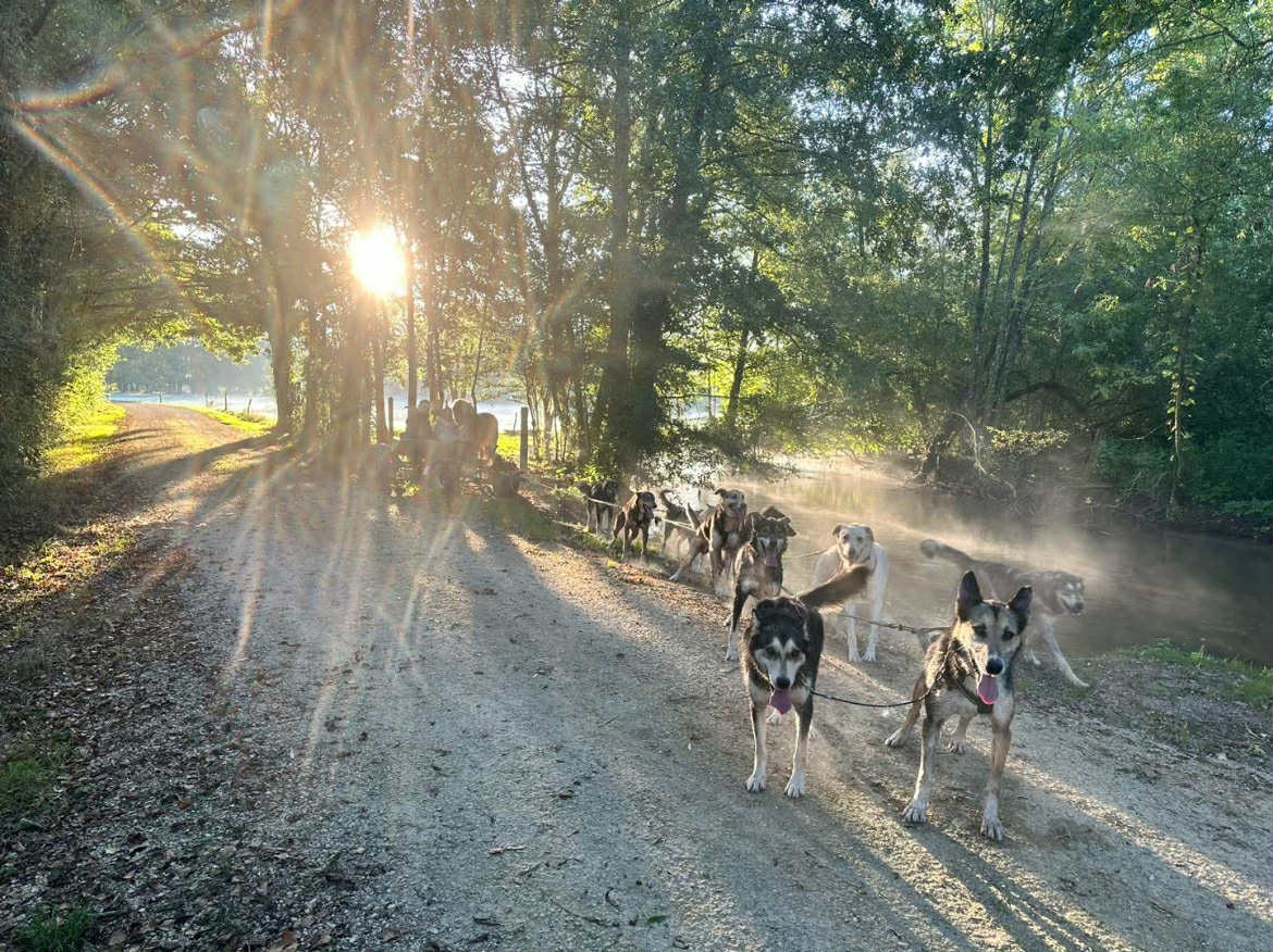 att.7fvecxX4M1srov6buuG3OfaIo0BGVV7es1YGUANN9qs