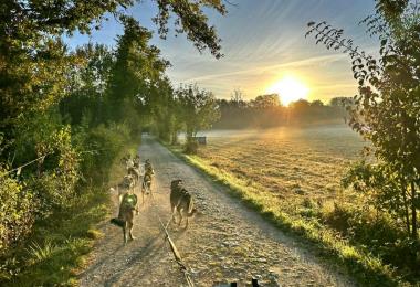 att.GcLEg3AqSKV5BRnGXGLTGnbJdnkY6dQM1J2GYqauOFQ