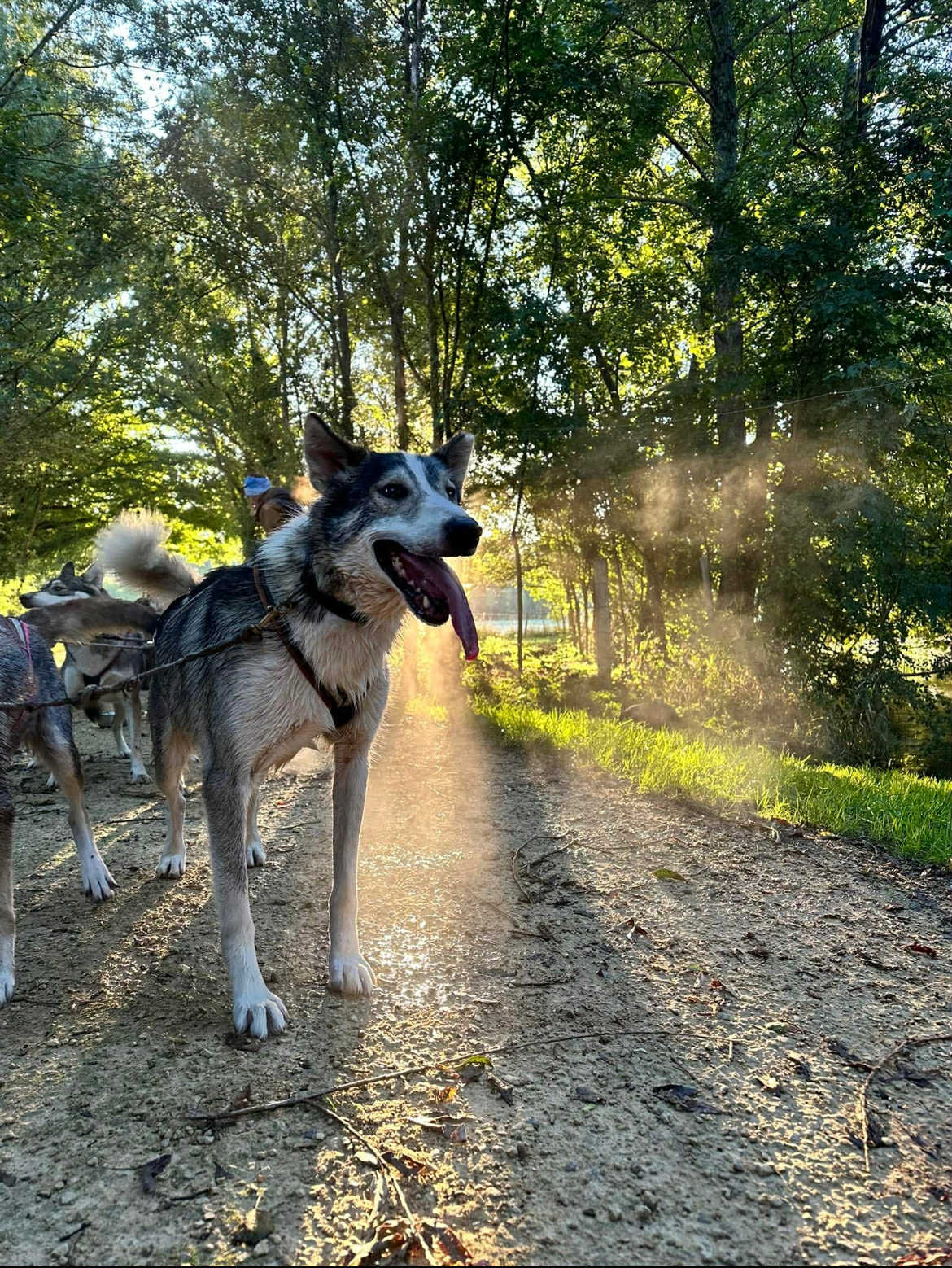 att.TrqZ4wO9c-zgKh8ixlm633yUrcOgzuDfRYarS9SvXgU