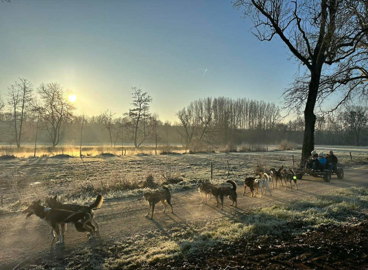 att.UtMhACiphinM4I1-rm0L9bqO_XZzGGeJXBtVDuGKNUQ