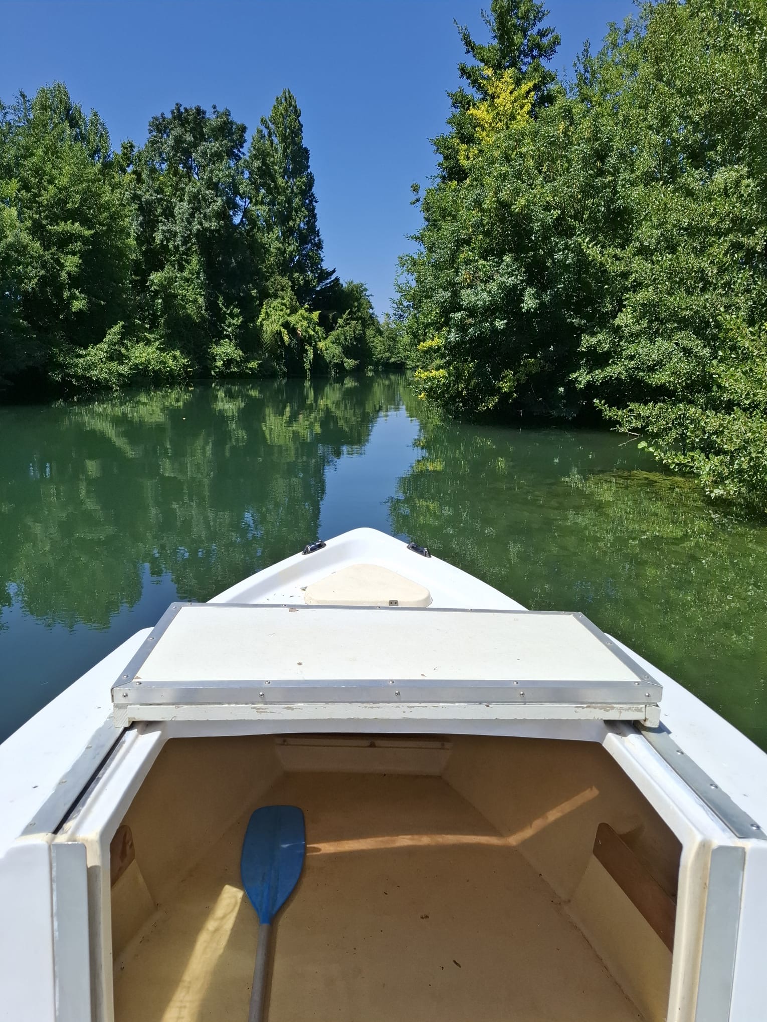 b4beae6a-2fcd-4cba-8d62-728809dd27d0