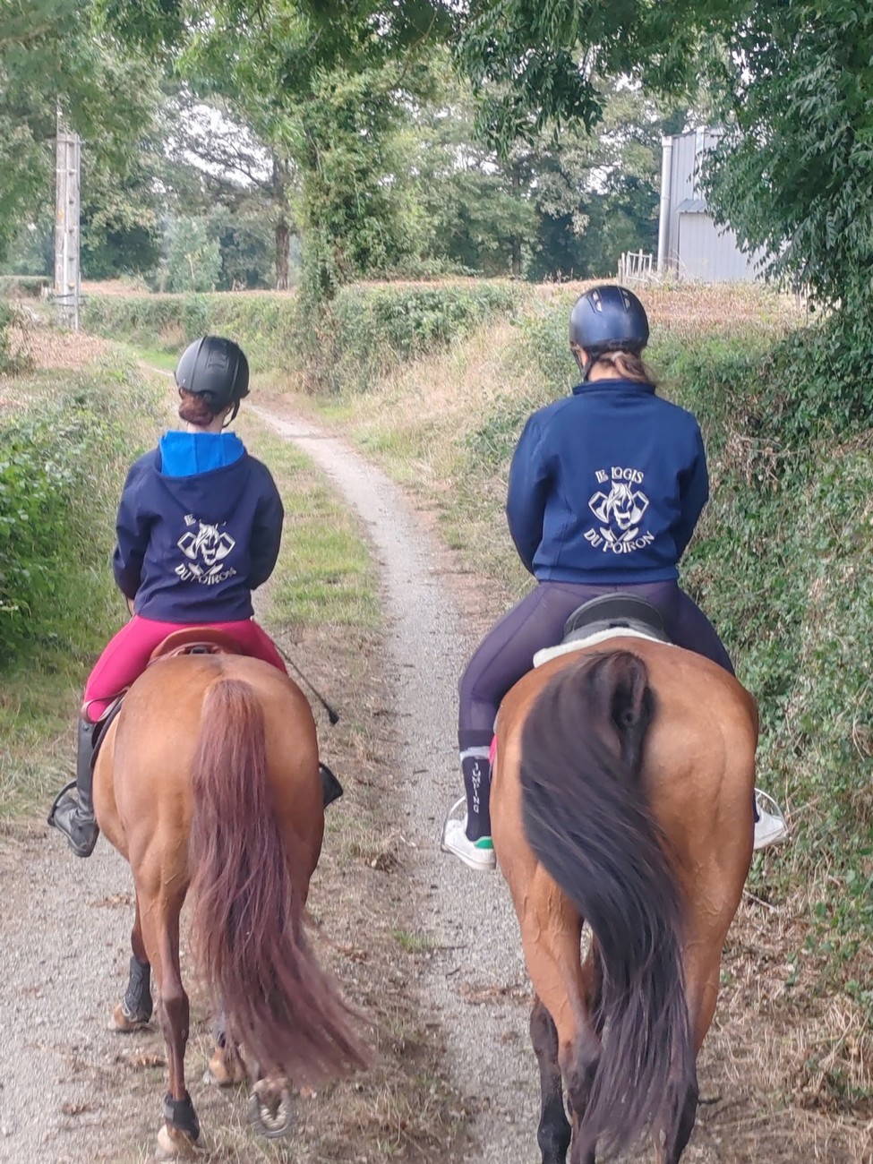 Activités sportives