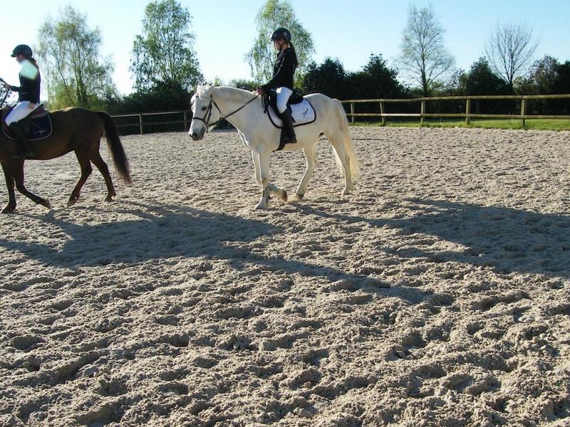 bressuire-centre-equestre