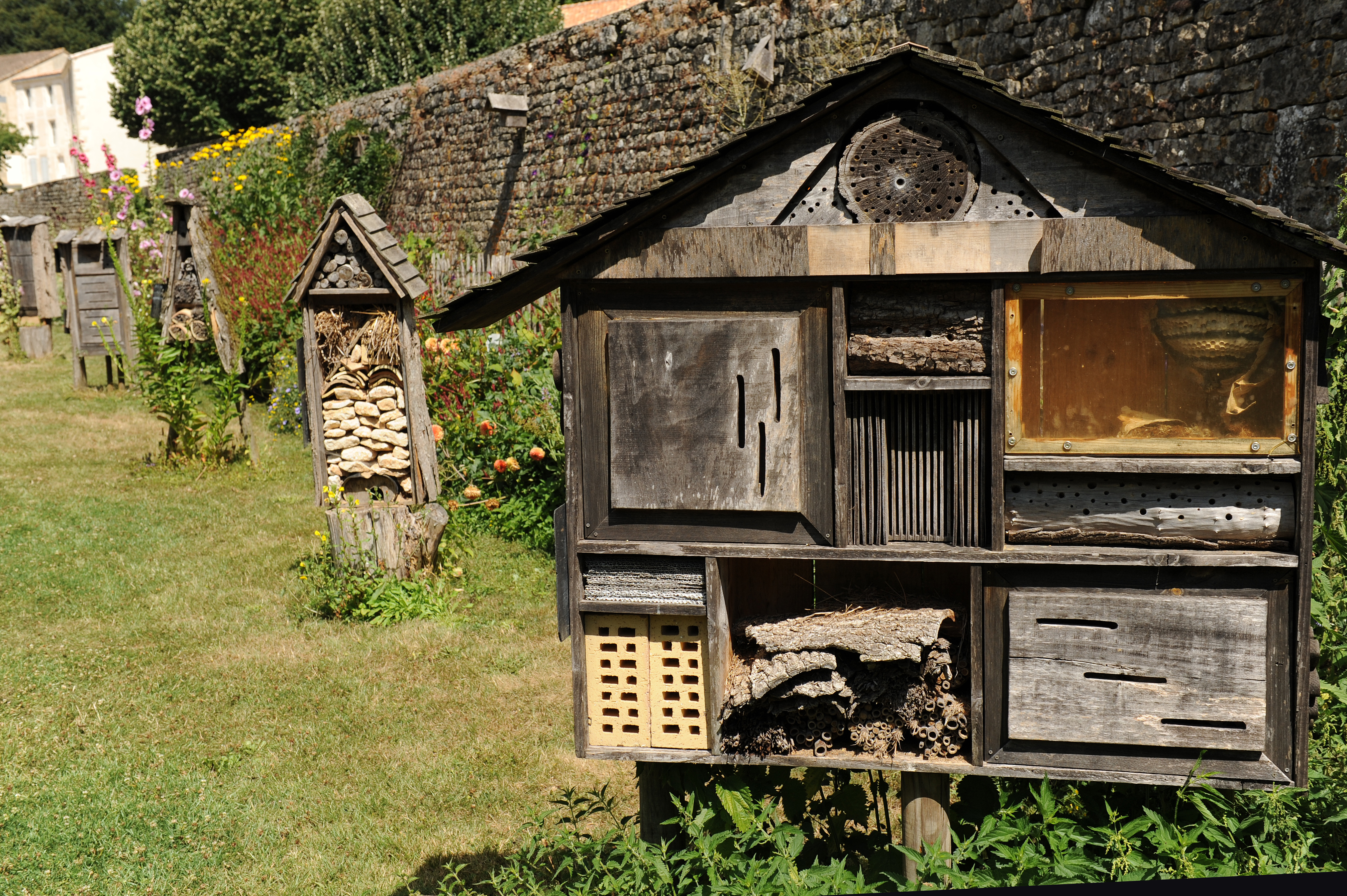 Celles-sur-Belle, Petite Cité de Caratère