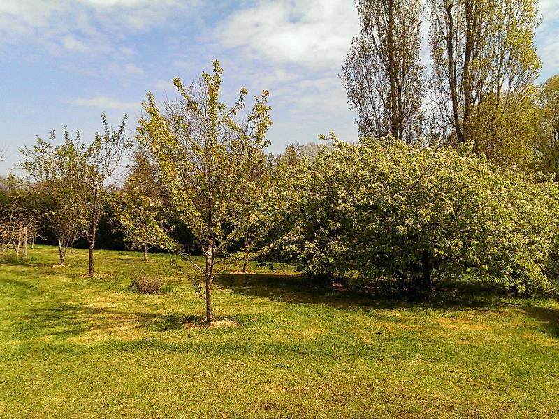 clesse-chambre-dhotes-aux-deux-chevres-jardin1