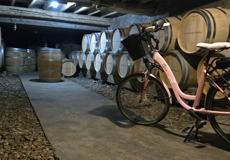 Clos moteles Viticulteur Vins degustation Ste Verge Thouarsais Deux Sevres