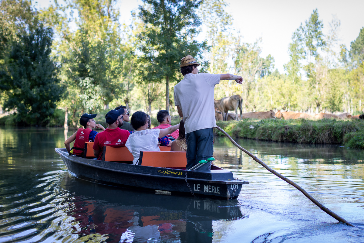 collective prada de dos