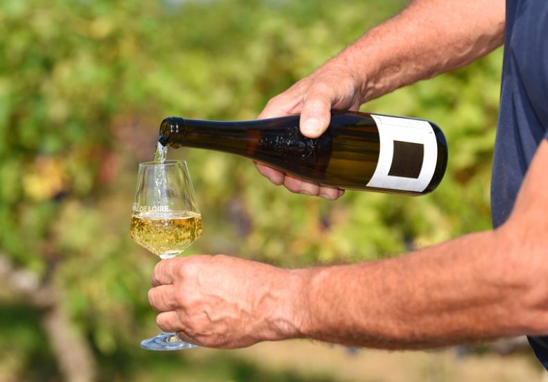 Domaine Beauron viticulteur vins degustation Bouille Loretz Argenton Thouarsais