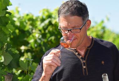 Domaine Rueau Viticulteur vins degustation cersay val en vignes Thouarsais