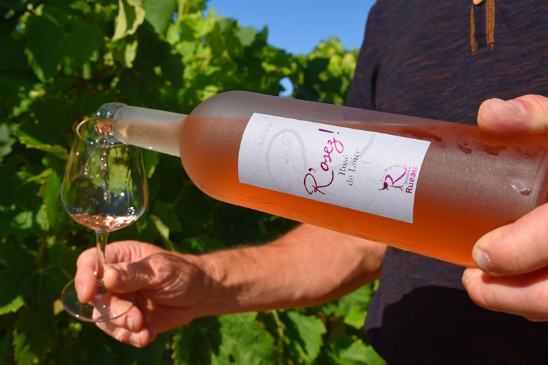 Domaine Rueau Viticulteur vins degustation cersay val en vignes Thouarsais