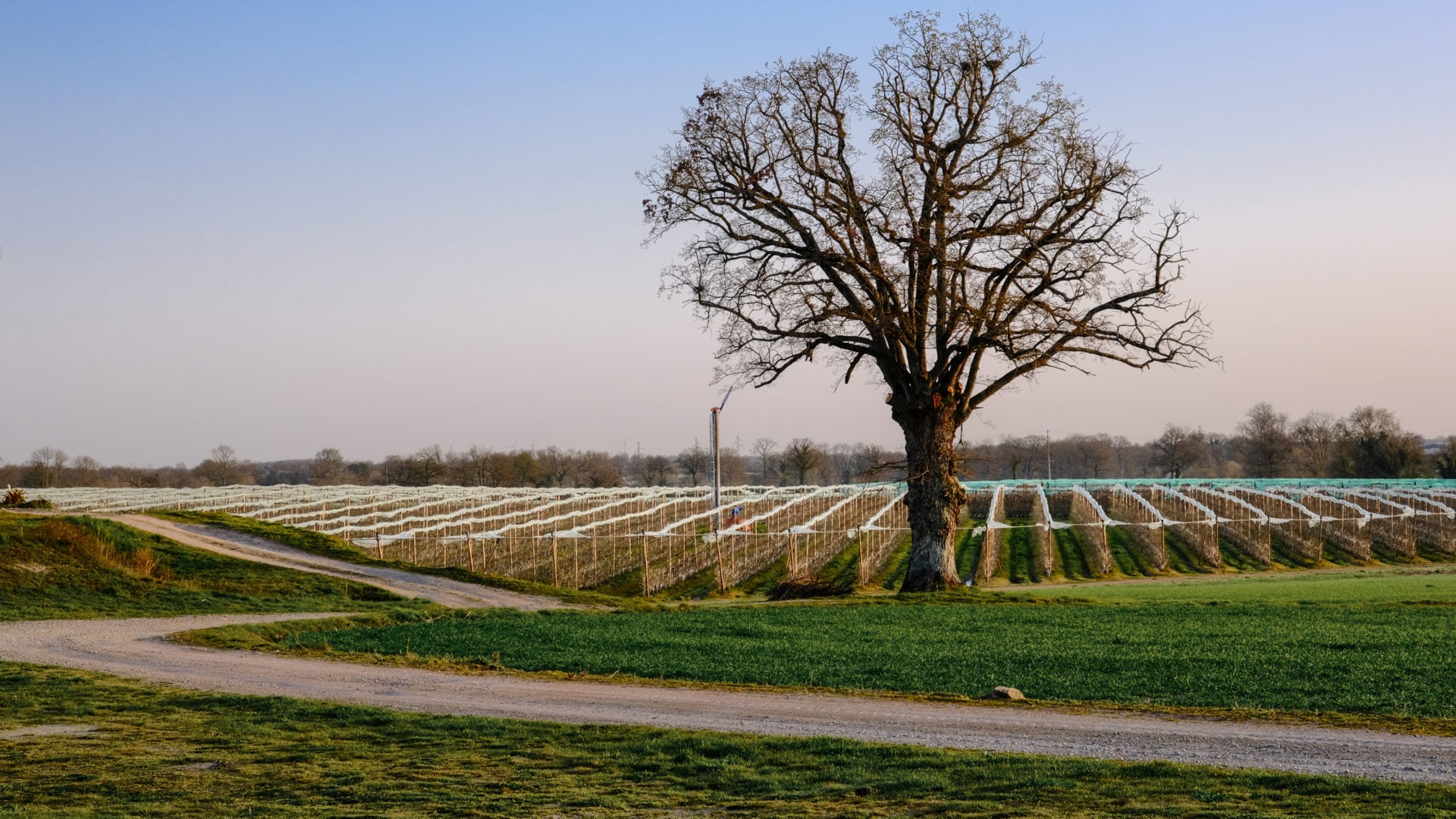 Domaine de la Berhtonnière 3