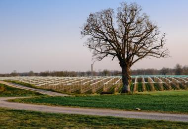 Domaine de la Berhtonnière 3
