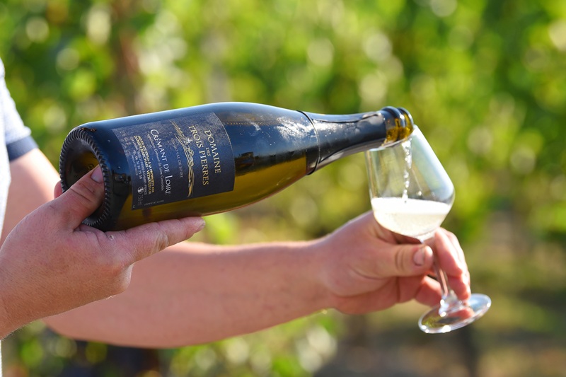 Domaine trois pierres viticulteur vins degustation val en vignes Thouarsais