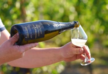 Domaine trois pierres viticulteur vins degustation val en vignes Thouarsais