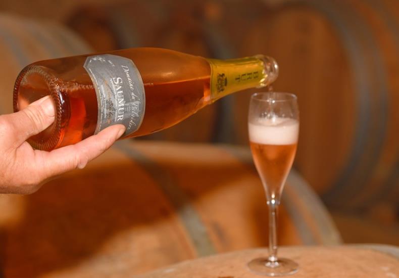 Domaine Belvedere Viticulteur vins degustation St martin Sanzay Thouarsais