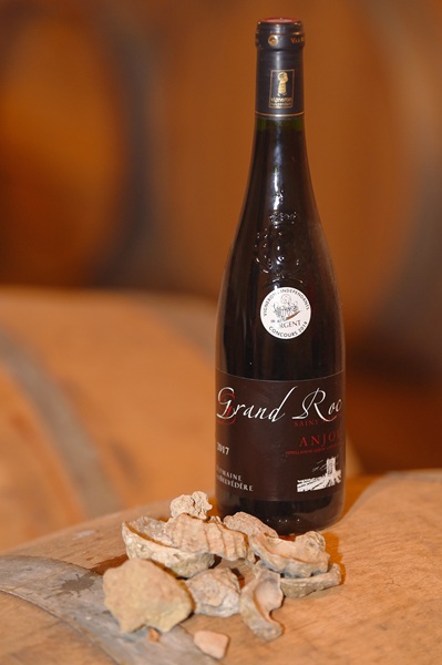 Domaine Belvedere Viticulteur vins degustation St martin Sanzay Thouarsais