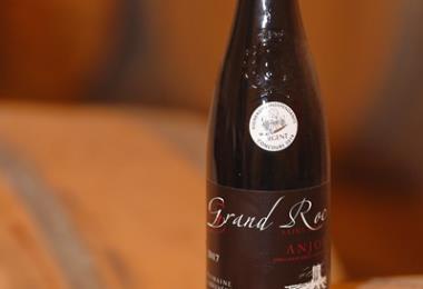 Domaine Belvedere Viticulteur vins degustation St martin Sanzay Thouarsais