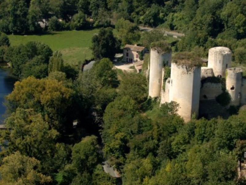 Échiré - Château du Coudray-Salbart