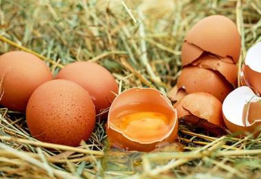 eggs-g47ccf7b89_640
