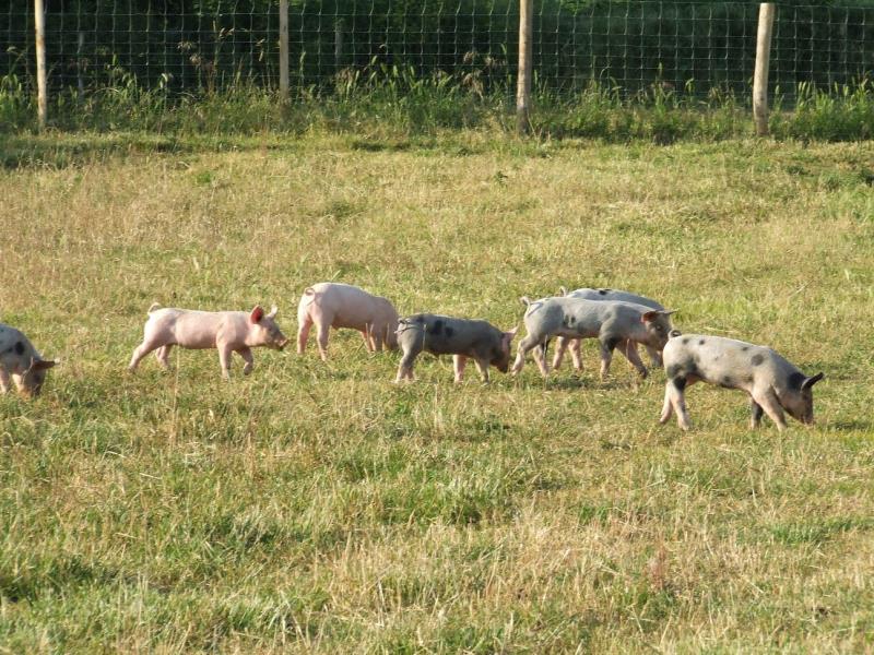 ferme-mantellerie-2