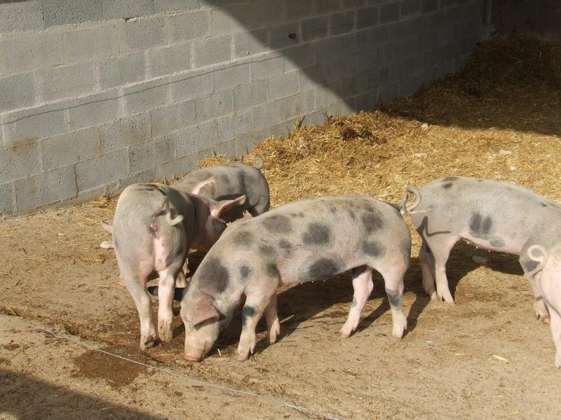 ferme-mantellerie