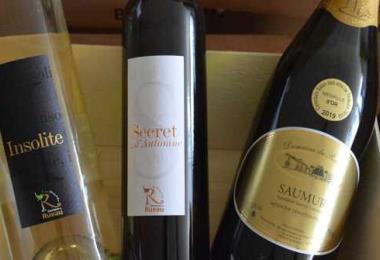 Domaine Rueau Viticulteur vins degustation cersay val en vignes Thouarsais