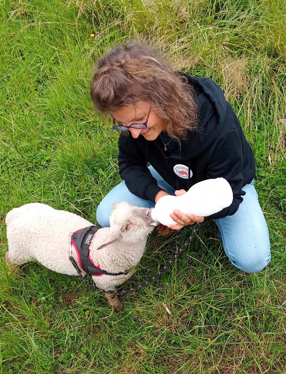 moncoutant-ferme-des-liens-tisses-agneau