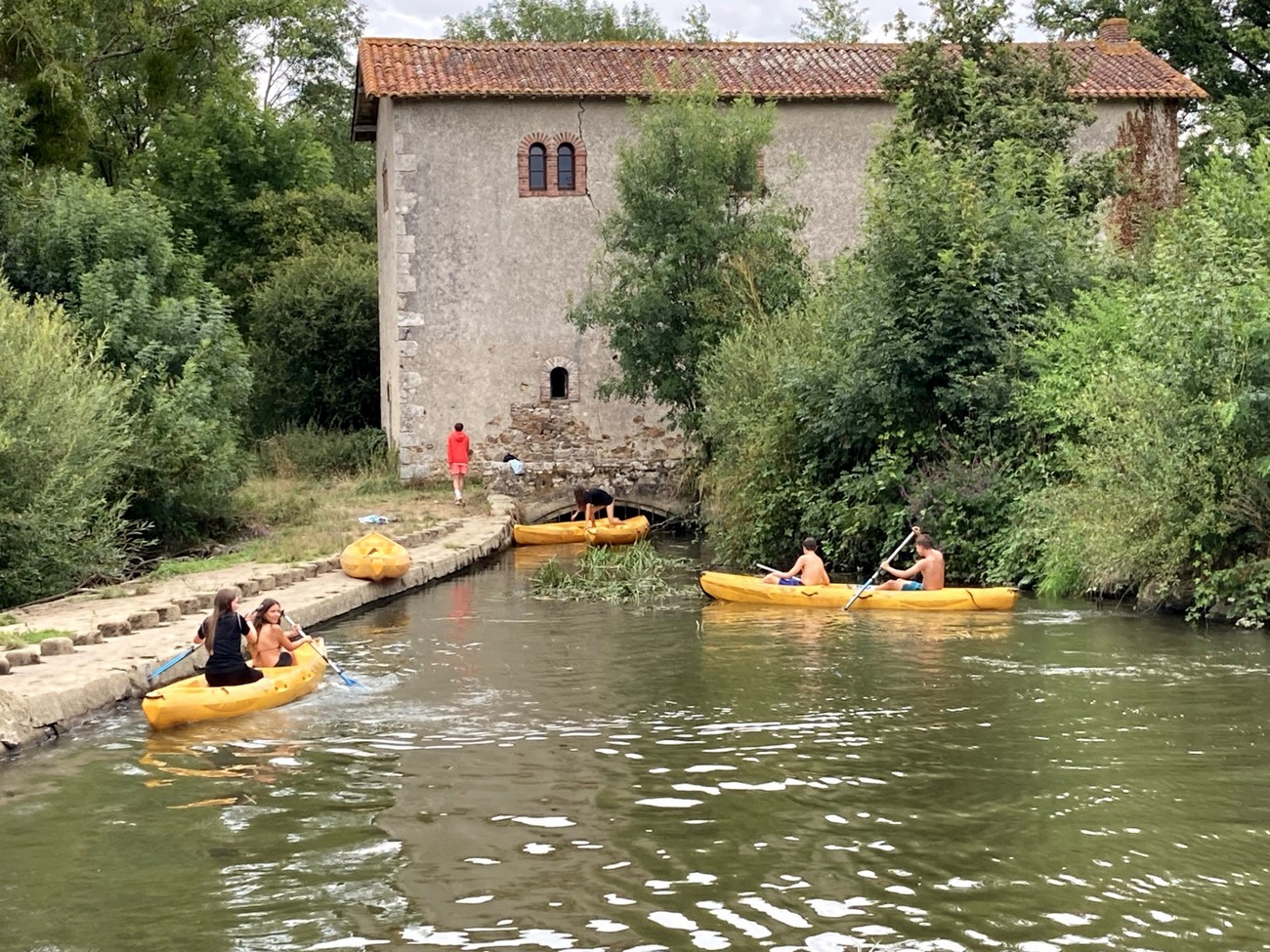 montravers-l-ilot-sur-sevre-canoe-kayak