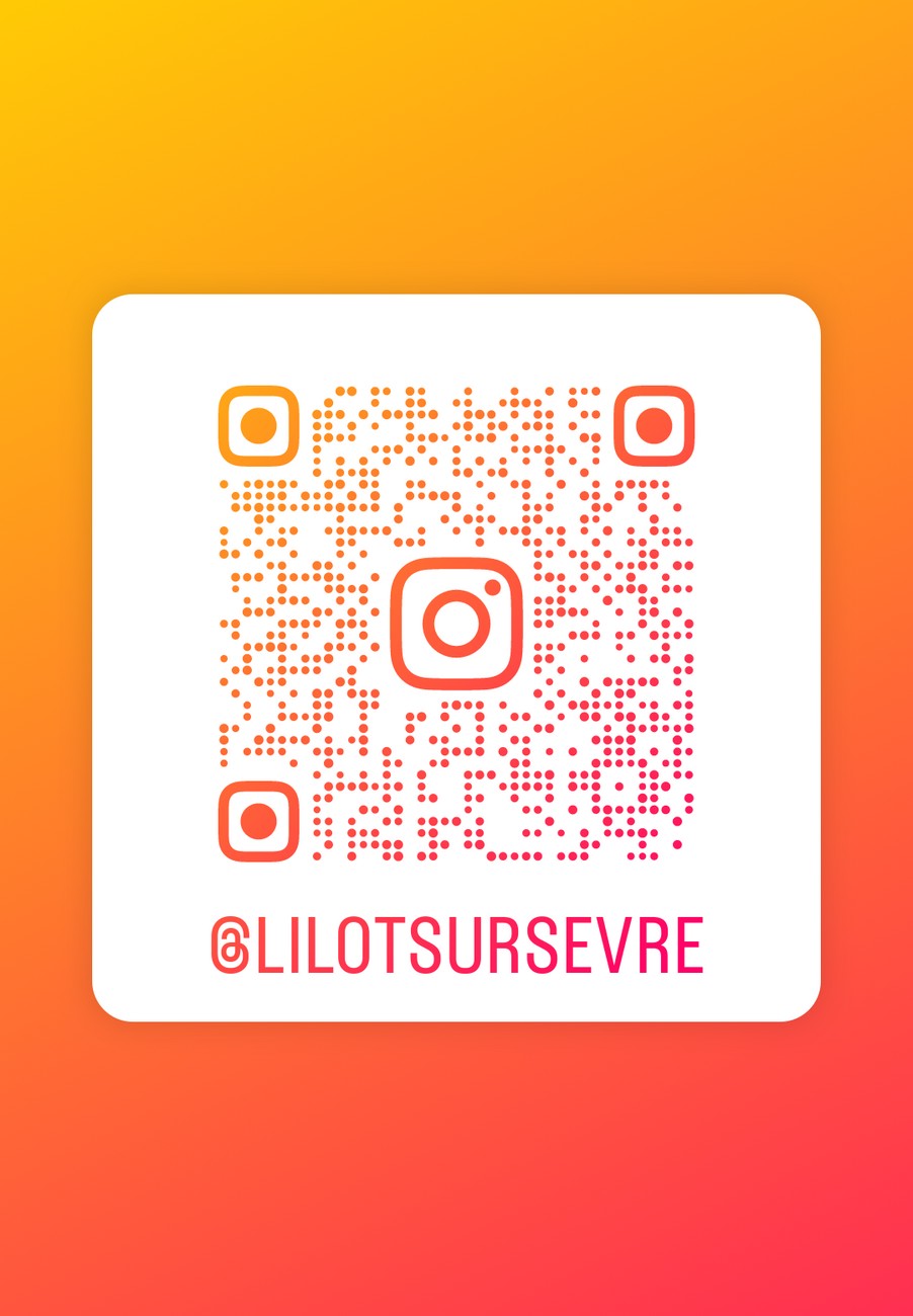 montravers-l-ilot-sur-sevre