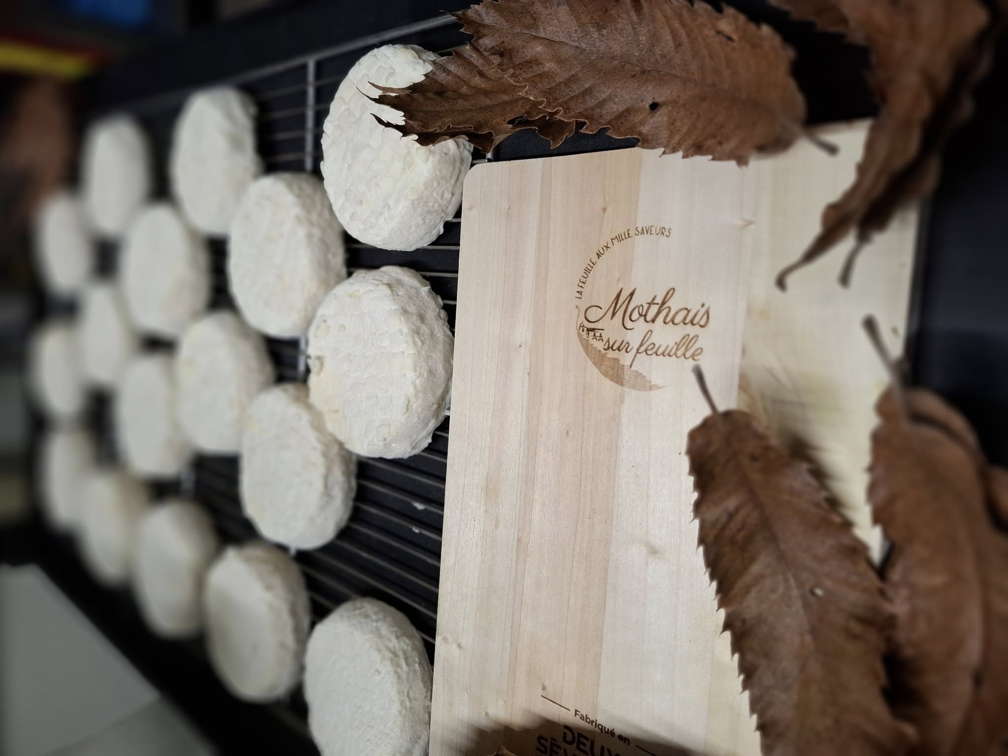 mothais sur feuille
