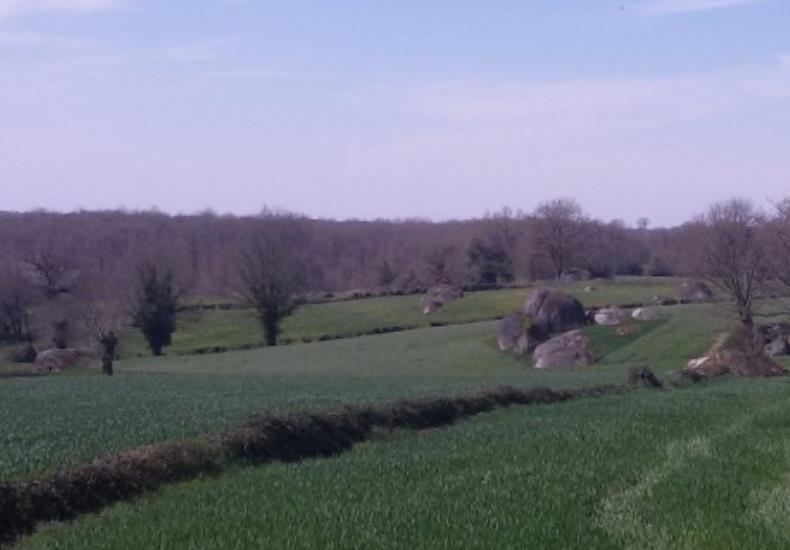 retail-deux-ruisseaux