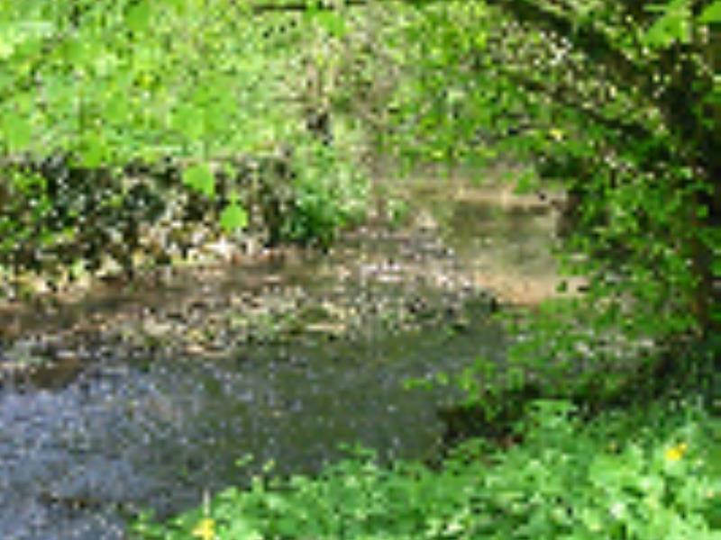 ruisseau-moulin-bertrand-fiche-curiosite