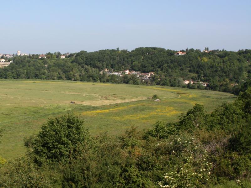 Côteau et prairie du Châtelier Missé Thouars Thouarsais