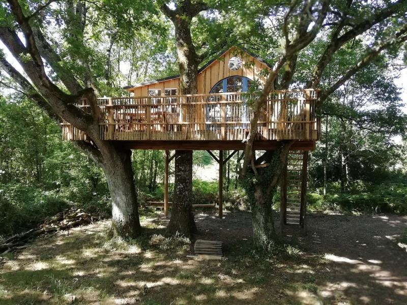 st-pierre-des-echaubrognes-domaine-chantoiseau-cabane-peter-pan