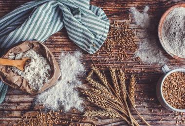 Sur nos Terres pates crackers huile degustation Taize Plaine Vallee Thouarsais