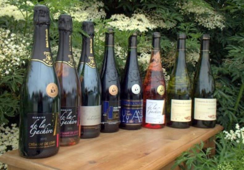 Domaine Gachere viticulteur vins degustation Cersay Val en Vignes Thouarsais